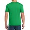 Gildan Heavy Cotton T-Shirt, Crewneck Blank Tees for Crafting